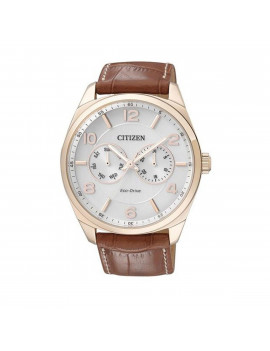 Reloj de hombre Citizen AO9024-16A Metropolitan